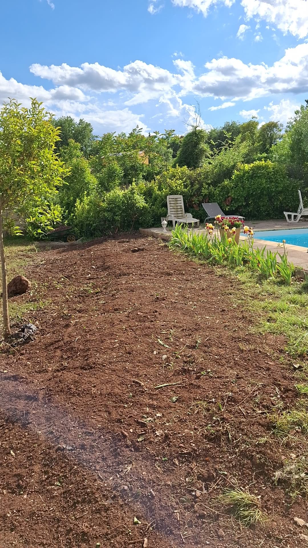 Le tour de piscine fleuri — avant